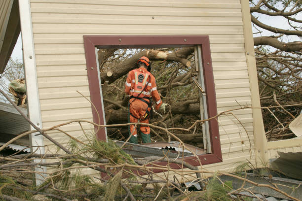  Roebuck, SC Tree Removal Pros